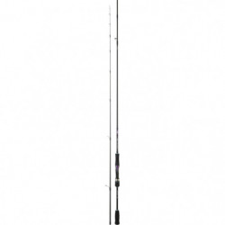 Canne Daiwa Emeraldas V