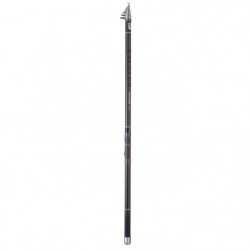 Canne Daiwa Exceler Big Pike