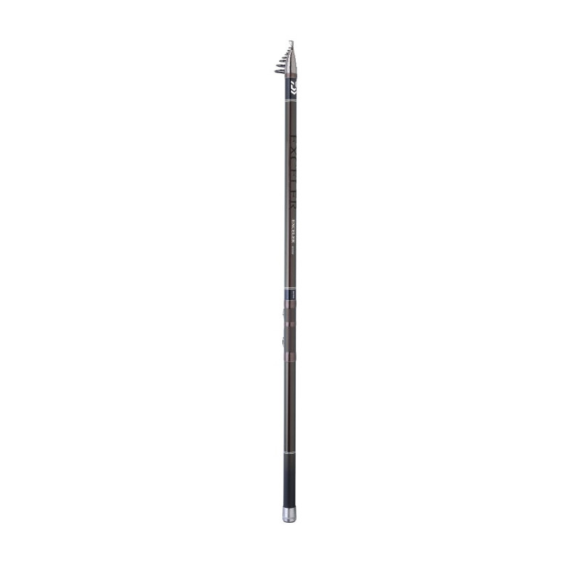 Canne Daiwa Exceler Big Pike