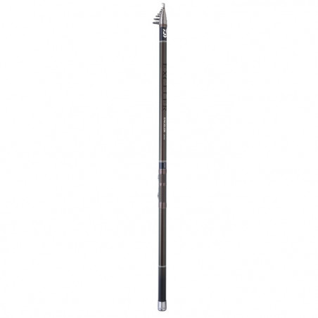 Canne Daiwa Exceler Big Pike