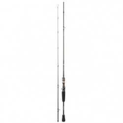 Canne Daiwa Exceler Casting