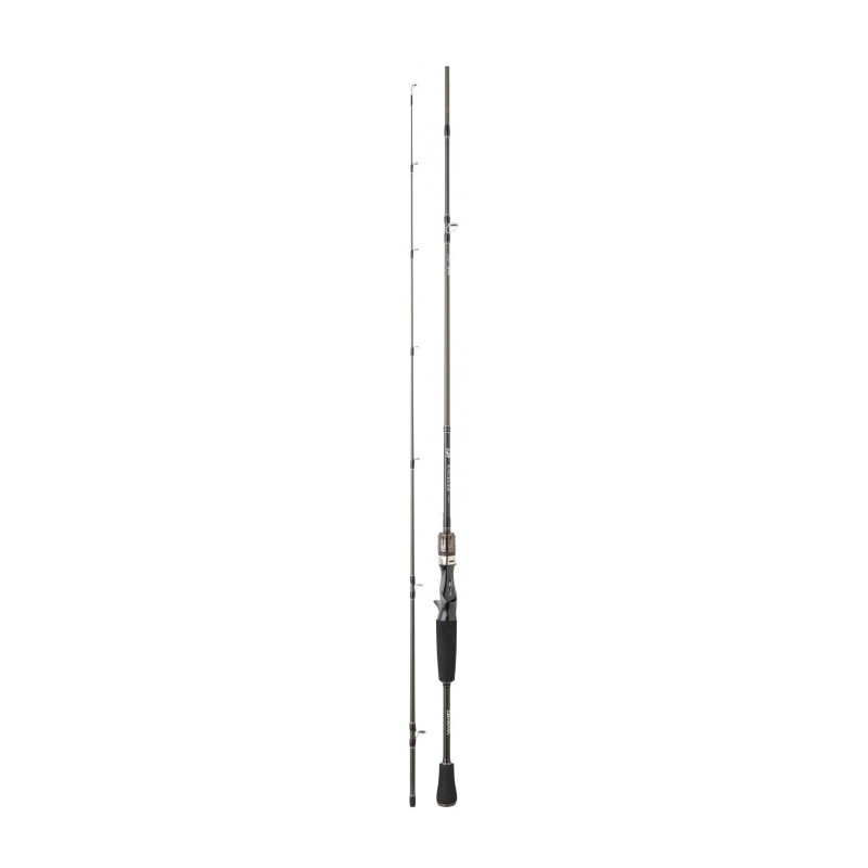 Canne Daiwa Exceler Casting