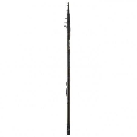 Canne Daiwa Exceler Réglable