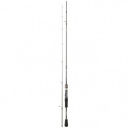 Canne Daiwa Exceler Spinning