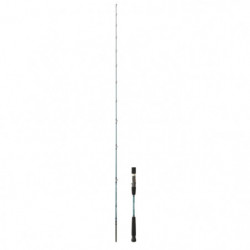 Canne Daiwa GrandWave