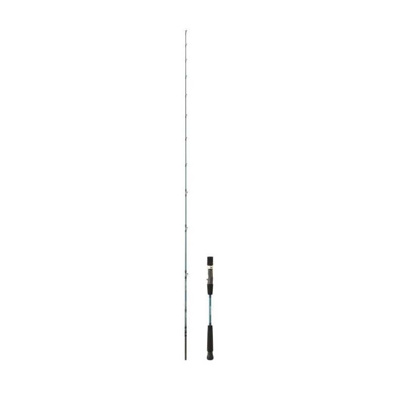 Canne Daiwa GrandWave
