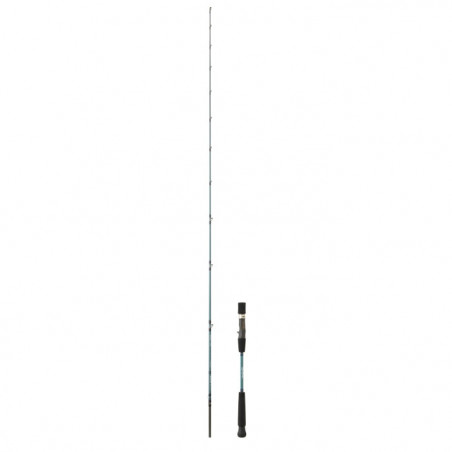 Canne Daiwa GrandWave