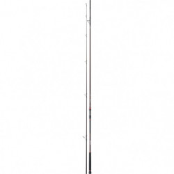 Canne Daiwa Grandwave Bulle