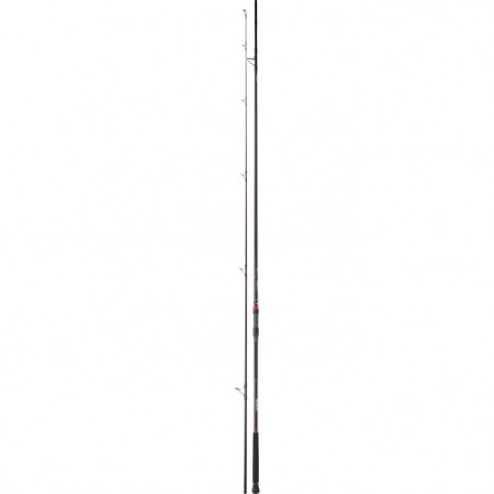 Canne Daiwa Grandwave Bulle