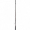 Canne Daiwa Grandwave Bulle