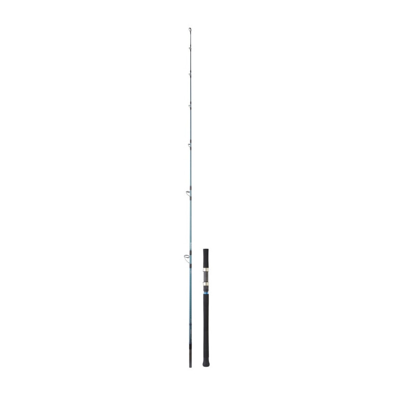 Canne Daiwa Grandwave Offshore