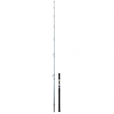 Canne Daiwa Grandwave Offshore
