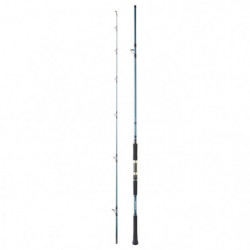 Canne Daiwa Grandwave Shore...
