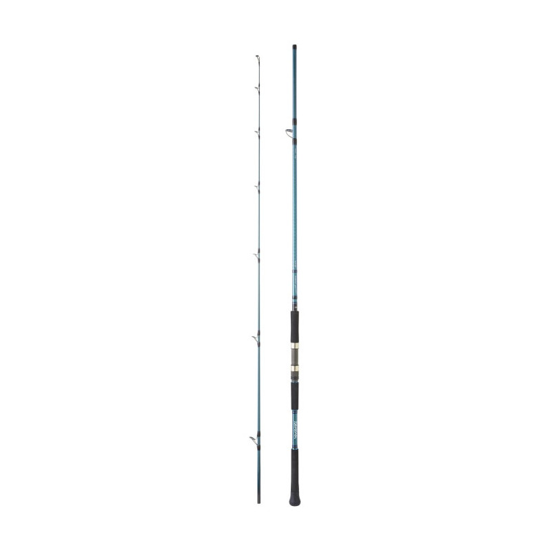 Canne Daiwa Grandwave Shore JIG