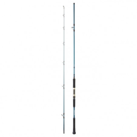 Canne Daiwa Grandwave Shore JIG