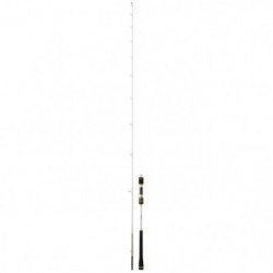 Canne Daiwa Megaforce