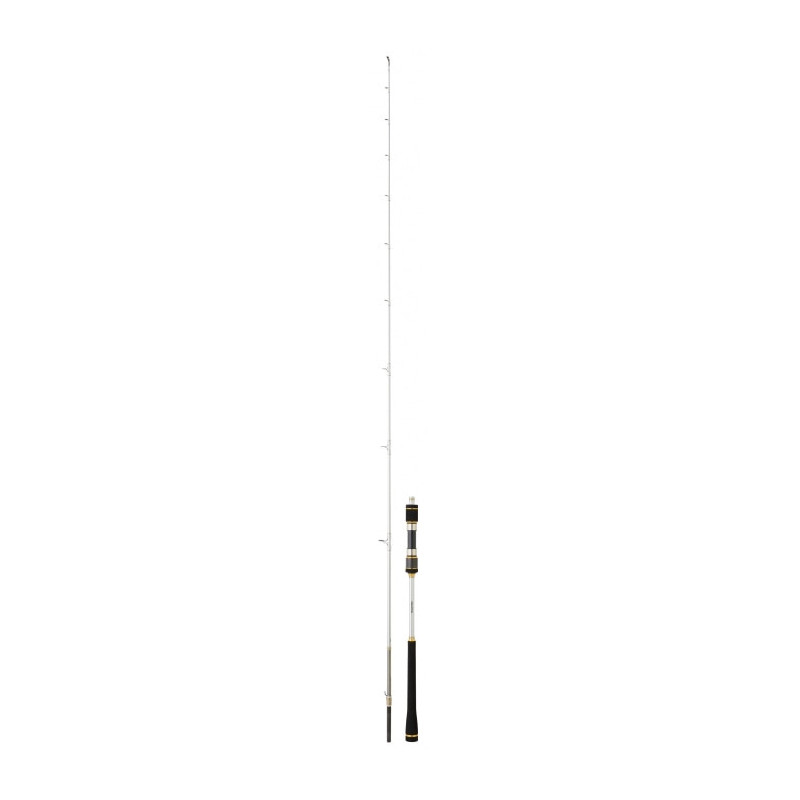 Canne Daiwa Megaforce