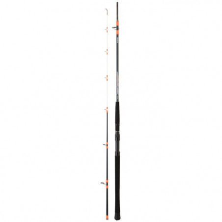 Canne Daiwa Megaforce Boat