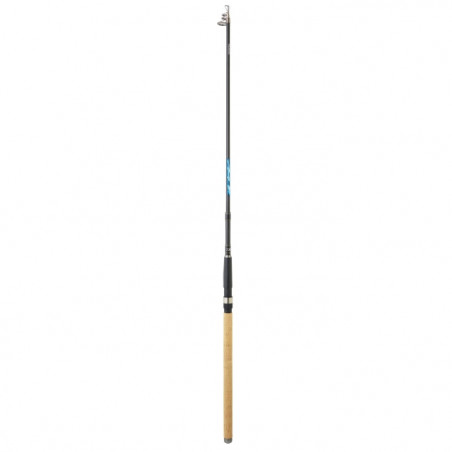 Canne Daiwa Megaforce Tele