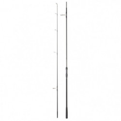 Canne Daiwa Mission Carp