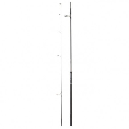 Canne Daiwa Mission Carp
