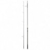 Canne Daiwa Mission Carp