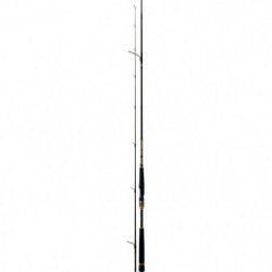 Canne Daiwa Morethan...