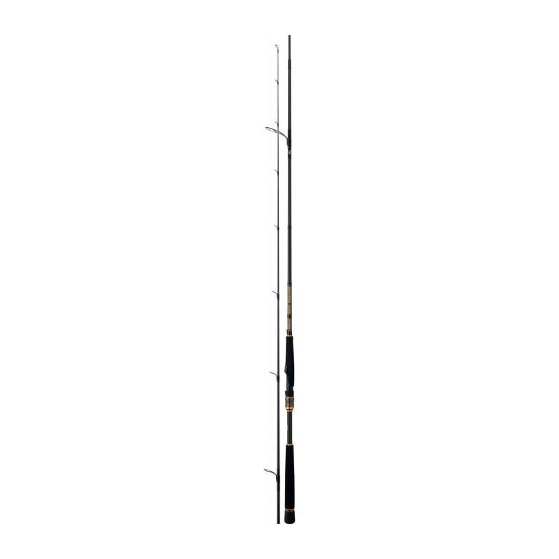 Canne Daiwa Morethan Branzino AGS