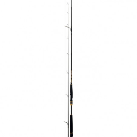 Canne Daiwa Morethan Branzino AGS