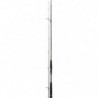 Canne Daiwa Morethan Branzino AGS
