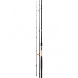 Canne Daiwa N'zon Z Feeder