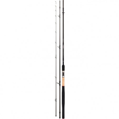 Canne Daiwa N'zon Z Feeder
