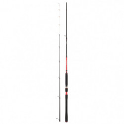 Canne Daiwa Powermesh Tenya