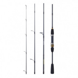 Canne Daiwa Procaster A