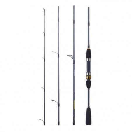 Canne Daiwa Procaster A