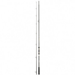 Canne Daiwa Procaster Game III