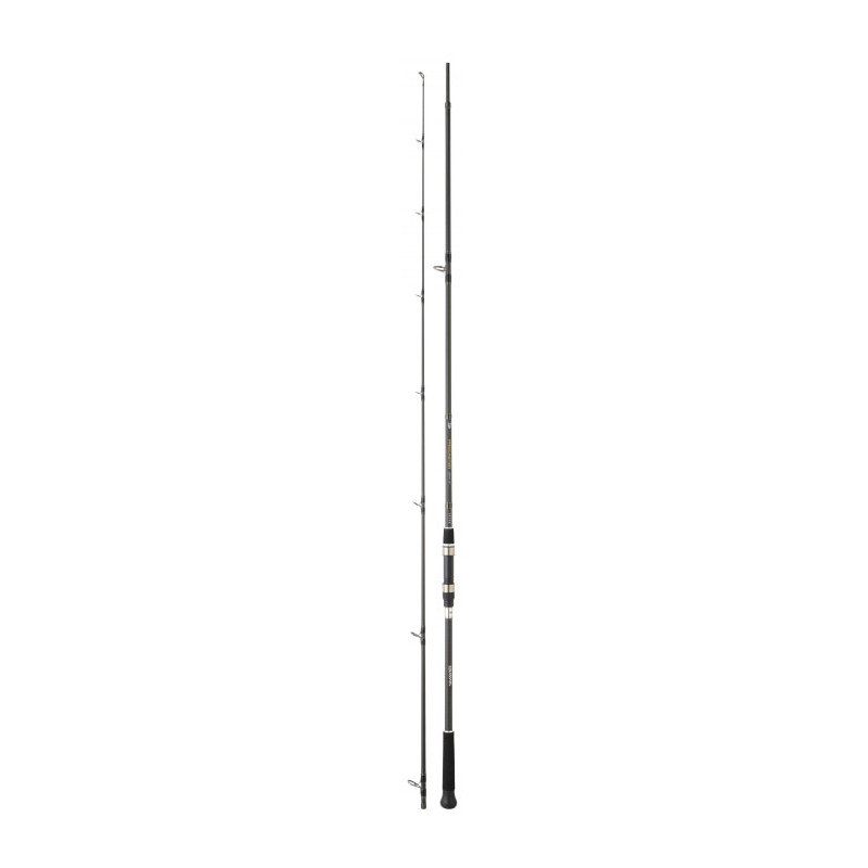 Canne Daiwa Procaster Game III