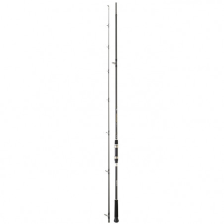 Canne Daiwa Procaster Game III
