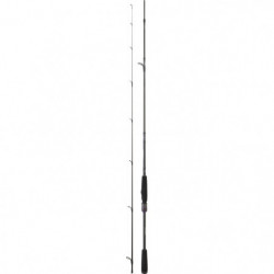 Canne Daiwa Prorex AGS...