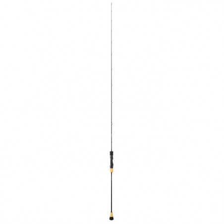 Canne Daiwa Saltiga Slow Jigging