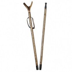 Canne de pirsch Gastrock