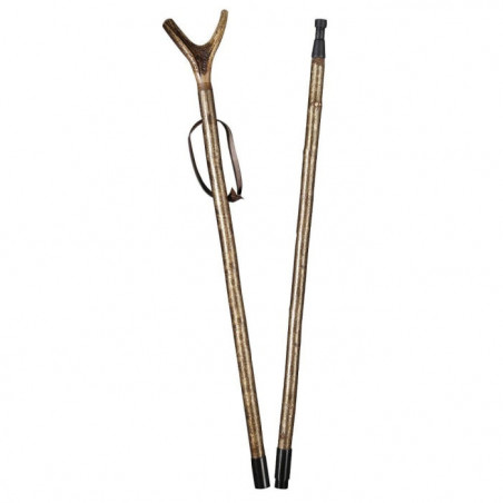 Canne de pirsch Gastrock