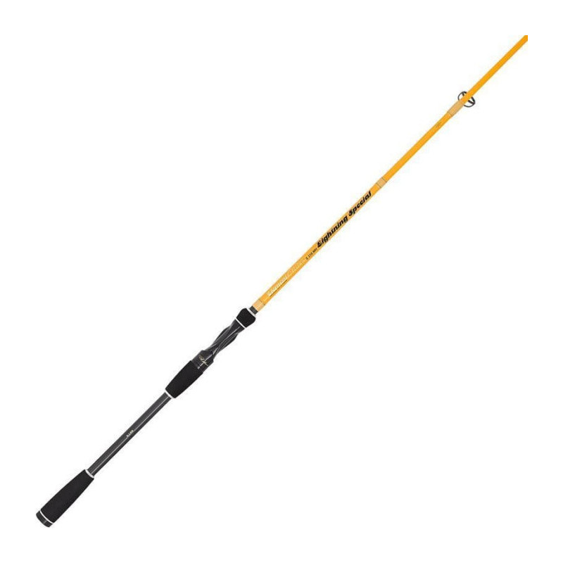 Canne Illex Element Rider X5 Lightning Special 2,10 m