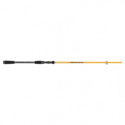 Canne Illex Element Rider X5 Lightning Special 2,10 m