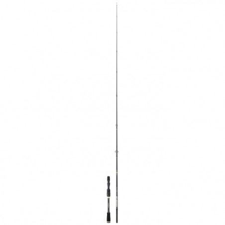 Canne leurre spinning Sakura Ionizer G2 Verticale
