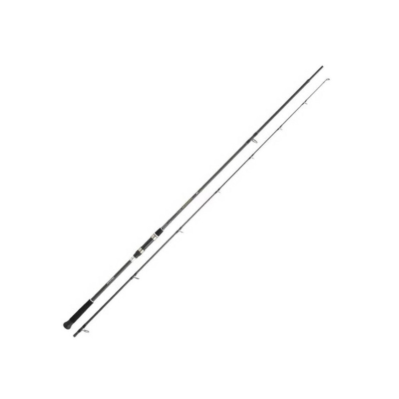 Canne mer Daiwa Procaster Game II