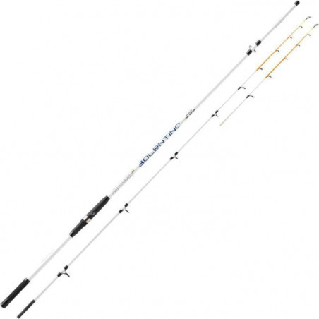Canne Mitchell Mer Suprema 2.0 Bolentino