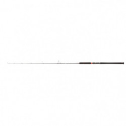 Canne Penn Conflict Jigging