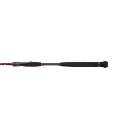 Canne Penn Conflict Light Jigging