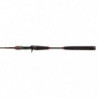 Canne Penn Conflict Light Jigging Cast